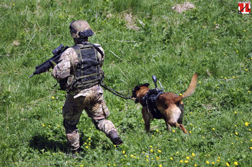 Exercice Cinque Torri 2016