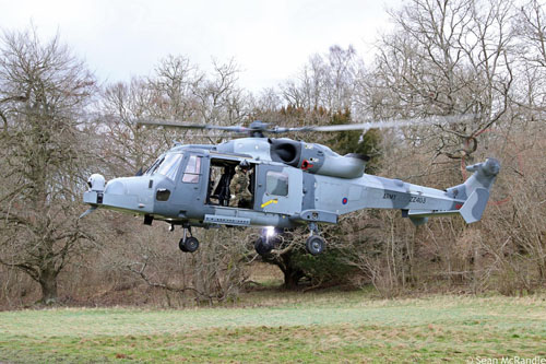 Hélicoptère AW159 Lynx Wildcat de l'Army Air Corps britannique