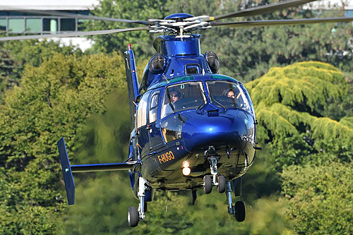 Hélicoptère AS350N Dauphin F-HUGO