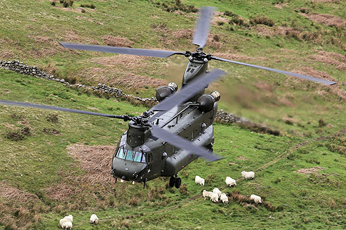 Hélicoptère CH47 Chinook RAF UK