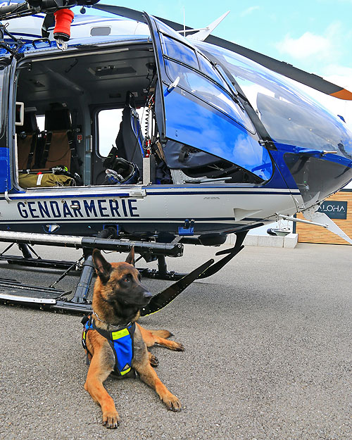 Hélicoptère EC145 Gendarmerie