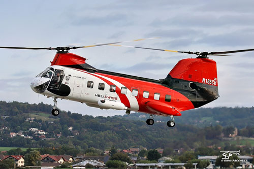 Hélicoptère KV107 N185CH HELISWISS INTERNATIONAL