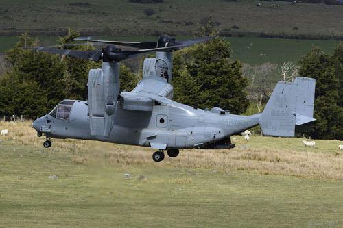 Hélicoptère à rotors basculants (convertible) MV22B Osprey des Marines US