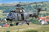 Hélicoptère AS532 Cougar Suisse