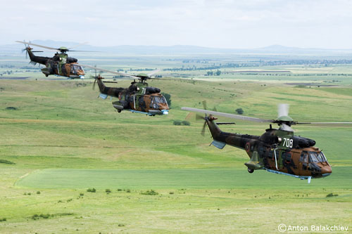 Hélicoptères AS532 Cougar Bulgarie