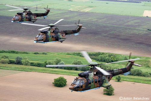 Hélicoptères AS532 Cougar Bulgarie