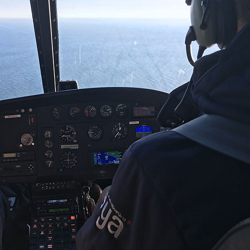 Cockpit hélicoptère AS350 Ecureuil