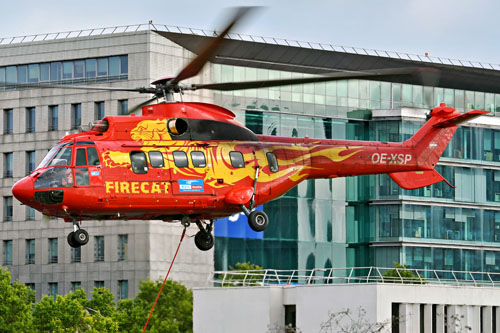 Hélicoptère AS332 SuperPuma OE-XSP Firecat