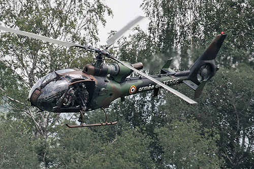 Hélicoptère SA342 Gazelle de l'ALAT (Aviation légère de l'Armée de Terre) française