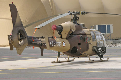 Hélicoptère SA341 Gazelle de l'ALAT (Aviation légère de l'Armée de Terre) française en camoiuflage sable désert