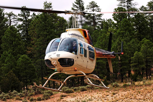 Hélicoptère BELL 206 Long Ranger de Papillon Grand Canyon Helicopters