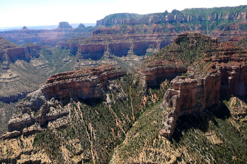 Survol du Grand Canyon en hélicoptère