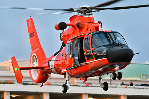 Hélicoptère MH65 Dolphin US Coastguard