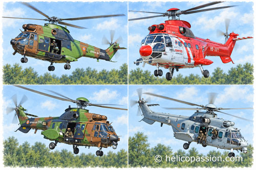 Portrait de famille : de gauche à droite et de haut en bas : SA330 Puma, H215, AS532 Cougar et H225M Caracal