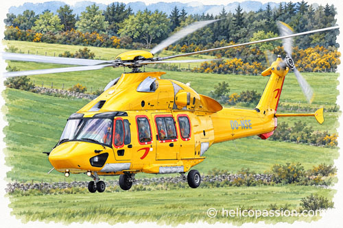 H175