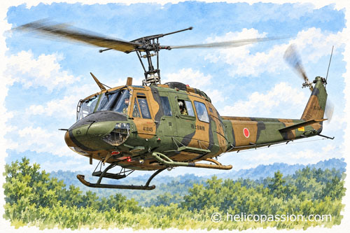 Bell 212