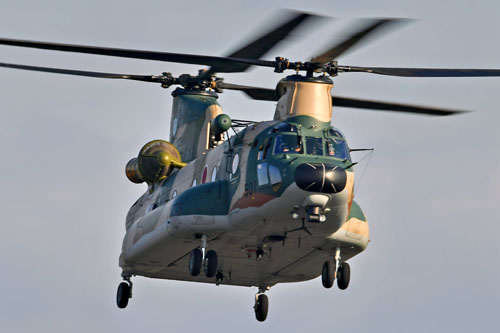 CH-47J Chinook de la JASDF en vol à Iruma, Japon