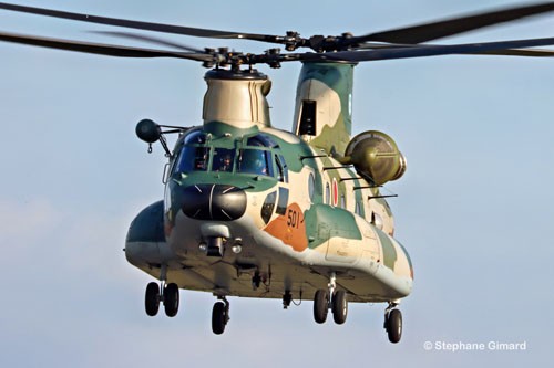 CH-47J Chinook de la JASDF en vol à Iruma, Japon