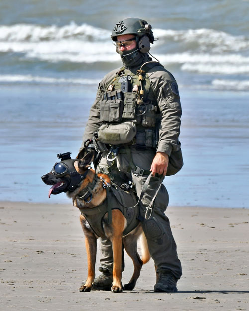 Chien et maître-chien de la Police belge (DSU)