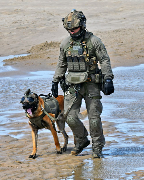 Chien et maître-chien de la Police belge (DSU)