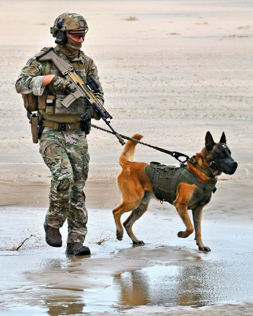 Chien et maître-chien de l'Armée belge