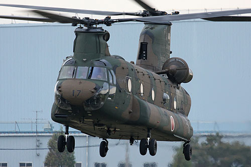 Hélicoptère CH47 Chinook JGSDF