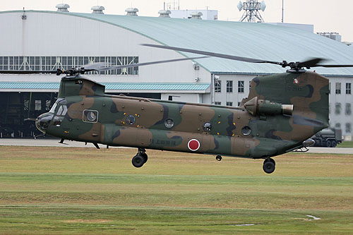 Hélicoptère CH47 Chinook JGSDF