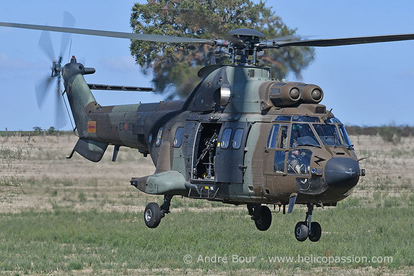 Spanish Army AS332 SuperPuma helicopter