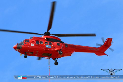 Hélicoptère AS332L SuperPuma OE-XJP d'Heli Austria