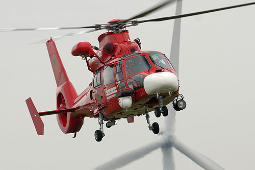 Hélicoptère AS365 Dauphin JA01FD des pompiers de Tokyo (Fire and Disaster Management Agency)