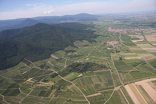 Plaine d'Alsace, vue du ciel