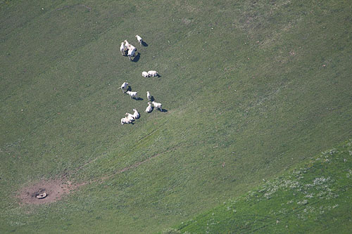 Plaine d'Alsace, vue du ciel