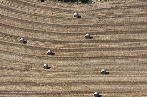 Plaine d'Alsace, vue du ciel