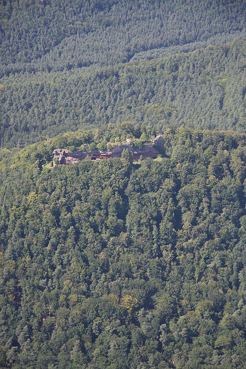 Falkenstein