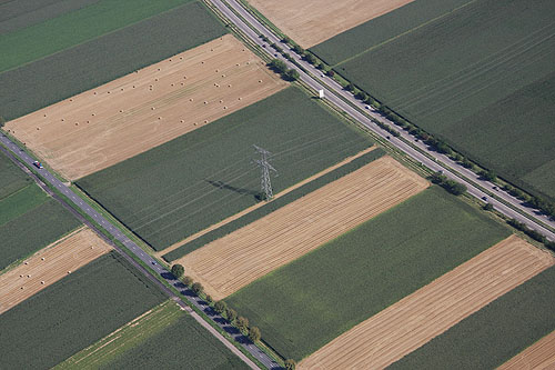 Plaine d'Alsace, vue du ciel