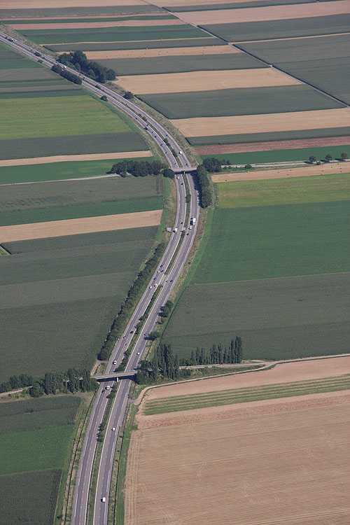 Plaine d'Alsace, vue du ciel