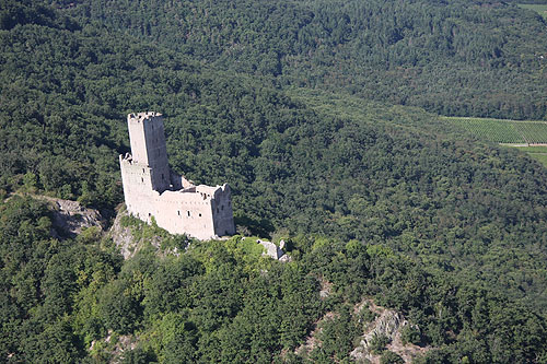 Plaine d'Alsace, vue du ciel