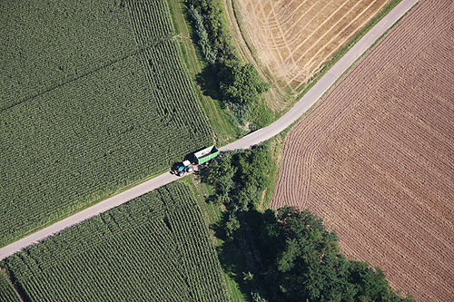 Plaine d'Alsace, vue du ciel