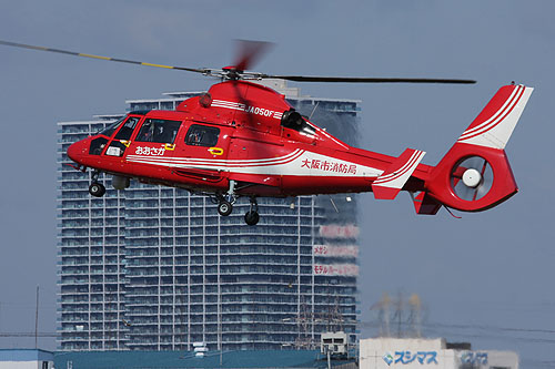 Hélicoptère AS365 N3 Dauphin des pompiers japonais