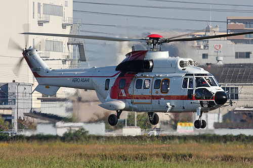 Hélicoptère AS332 SuperPuma d'Aero Asahi