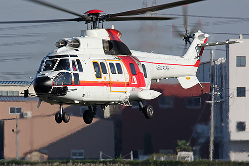 Hélicoptère AS332 SuperPuma d'AERO ASAHI